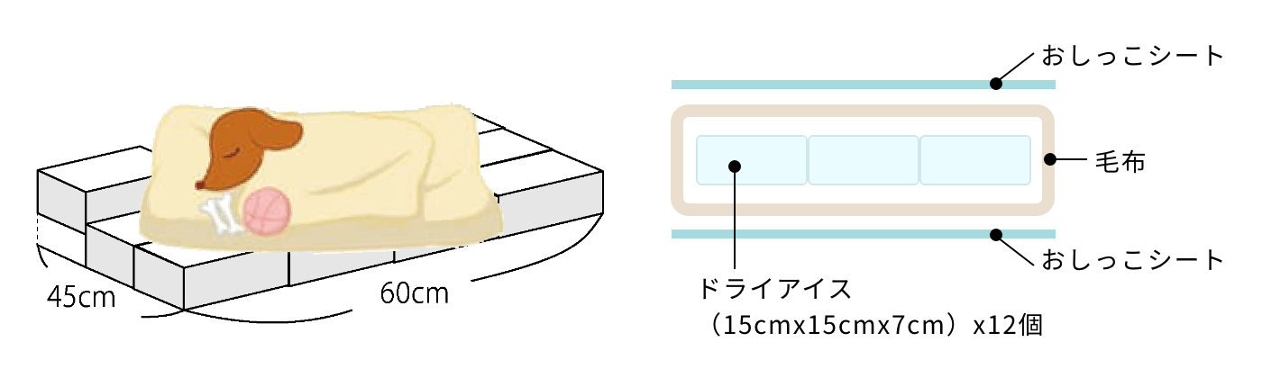 身体の保存方法説明図